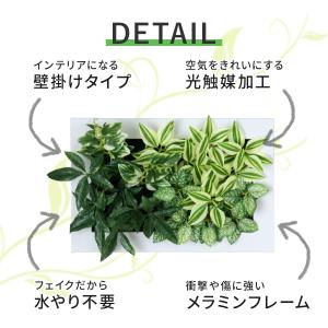 人工植物 観葉植物 光触媒 造花 植物 フェイ...の詳細画像3