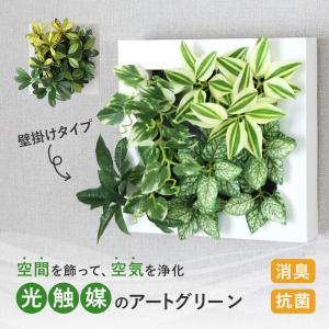 人工植物 観葉植物 光触媒 造花 植物 フェイク...の商品画像