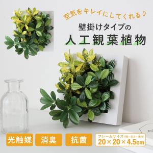 人工植物 観葉植物 光触媒 造花 植物 フェイ...の詳細画像1