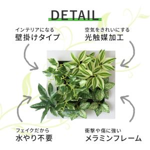 人工植物 観葉植物 光触媒 造花 植物 フェイ...の詳細画像3