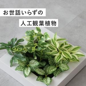 人工植物 観葉植物 光触媒 造花 植物 フェイ...の詳細画像4