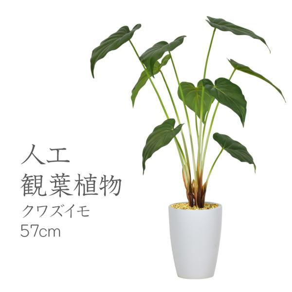 人工植物 観葉植物 光触媒 造花 植物 フェイクグリーン 鉢付き リビング 消臭 殺菌 防臭 クワズ...