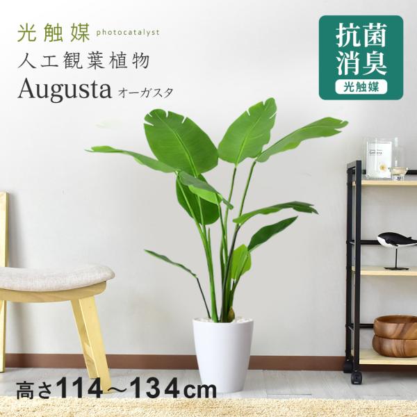 人工植物 観葉植物 光触媒 造花 植物 フェイクグリーン 鉢付き リビング 消臭 殺菌 防臭 オーガ...