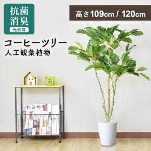 DORIS（ドリス） 人工植物 観葉植物 光触媒 造花 植物 フェイク