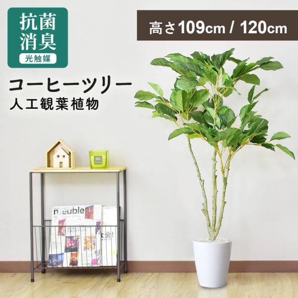 人工植物 観葉植物 光触媒 造花 植物 フェイクグリーン 鉢付き リビング 消臭 殺菌 防臭 コーヒ...