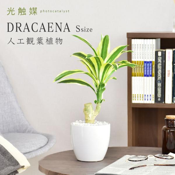 人工植物 観葉植物 光触媒 造花 植物 フェイクグリーン 鉢付き リビング 消臭 殺菌 防臭 ドラセ...