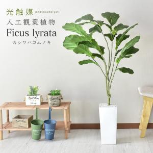 観葉植物 人工観葉植物 DORIS フェイクグリーン カシワバゴムノキ 北欧 ドリス