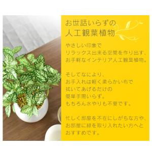 人工植物 観葉植物 光触媒 造花 植物 フェイ...の詳細画像2