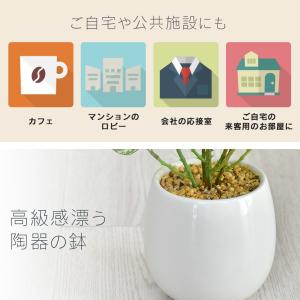人工植物 観葉植物 光触媒 造花 植物 フェイ...の詳細画像3