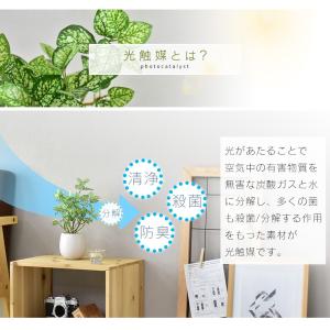 人工植物 観葉植物 光触媒 造花 植物 フェイ...の詳細画像4