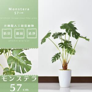 人工植物 観葉植物 光触媒 造花 植物 フェイ...の詳細画像1