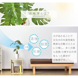 人工植物 観葉植物 光触媒 造花 植物 フェイ...の詳細画像3