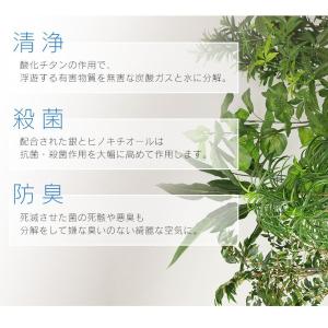 人工植物 観葉植物 光触媒 造花 植物 フェイ...の詳細画像4