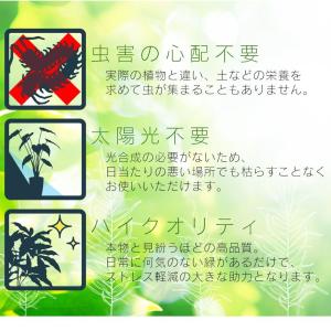 人工植物 観葉植物 光触媒 造花 植物 フェイ...の詳細画像5