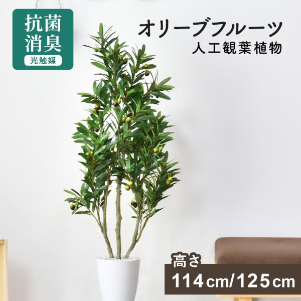 人工植物 観葉植物 光触媒 造花 植物 フェイクグリーン 鉢付き リビング 消臭 殺菌 防臭 オリー...