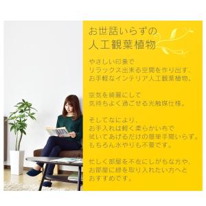 人工植物 観葉植物 光触媒 造花 植物 フェイ...の詳細画像1