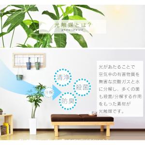 人工植物 観葉植物 光触媒 造花 植物 フェイ...の詳細画像2