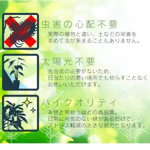 人工植物 観葉植物 光触媒 造花 植物 フェイ...の詳細画像4