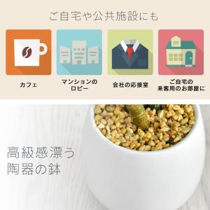 人工植物 観葉植物 造花 植物 フェイクグリー...の詳細画像2