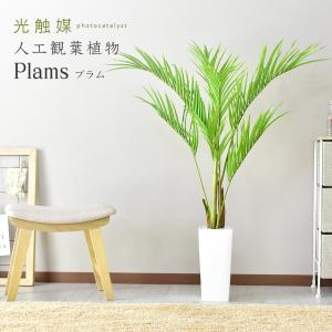 人工植物 観葉植物 光触媒 造花 植物 フェイクグリーン 鉢付き リビング 消臭 殺菌 防臭 プラム 北欧 ドリス