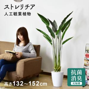 人工植物 観葉植物 光触媒 造花 植物 フェイクグリーン 鉢付き リビング 消臭 殺菌 防臭 ストレリチア 北欧 ドリス