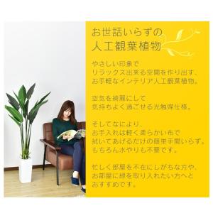 人工植物 観葉植物 光触媒 造花 植物 フェイ...の詳細画像1