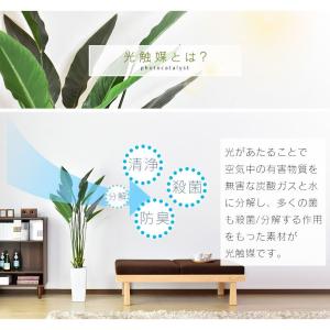 人工植物 観葉植物 光触媒 造花 植物 フェイ...の詳細画像2