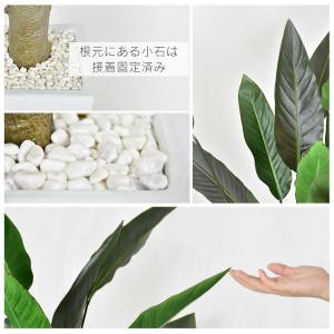 人工植物 観葉植物 光触媒 造花 植物 フェイ...の詳細画像5