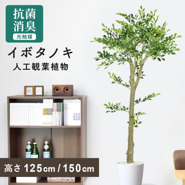 人工植物 観葉植物 光触媒 造花 植物 フェイクグリーン 鉢付き リビング 消臭 殺菌 防臭 イボタ...