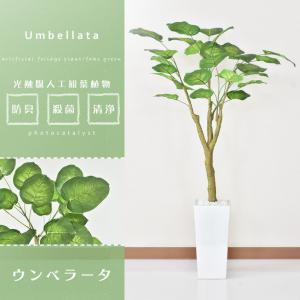 人工植物 観葉植物 光触媒 造花 植物 フェイ...の詳細画像1