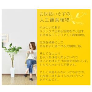 人工植物 観葉植物 光触媒 造花 植物 フェイ...の詳細画像2