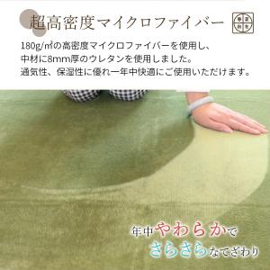 洗えるラグ50210 洗えるマイクロファイバー...の詳細画像2