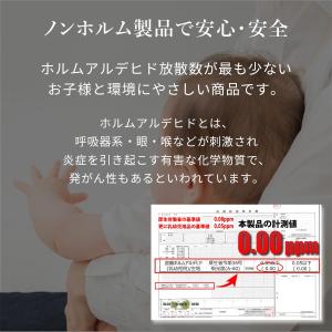 洗えるラグ65240 洗えるマイクロファイバー...の詳細画像3