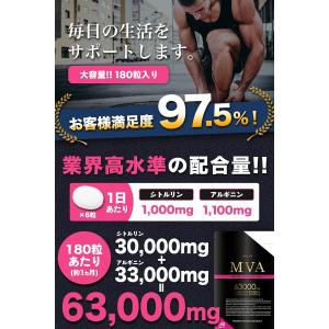 シトルリン アルギニン 63,000mg マカ...の詳細画像4