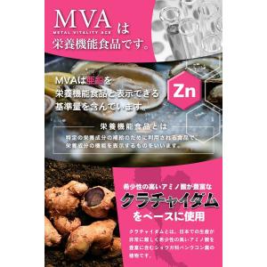 シトルリン アルギニン 63,000mg マカ...の詳細画像5
