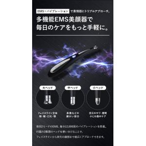 PILIEMO EMS美顔器 フェイスポインタ...の詳細画像2