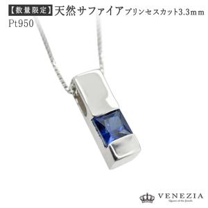 AQUA SILVER（アクアシルバー） 2/1までポイント5倍 アクアフォー