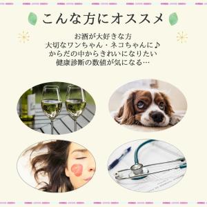 ミルクシスル 100g(ホール) 送料無料 農...の詳細画像4