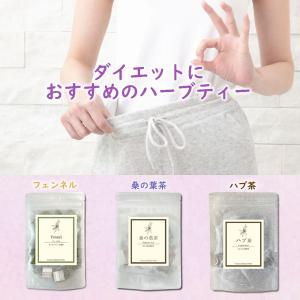 ダイエットハーブティー3種類set お楽しみセット  農薬検査済 桑の葉茶 サラシア茶 ステビア ハーブティー バラエティー セット 福袋