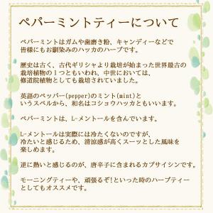 ペパーミントティー 60 ティーバッグ 送料無...の詳細画像1