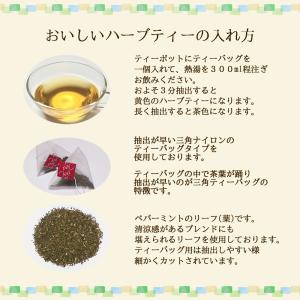 ペパーミントティー 60 ティーバッグ 送料無...の詳細画像2