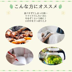 ペパーミントティー 60 ティーバッグ 送料無...の詳細画像4