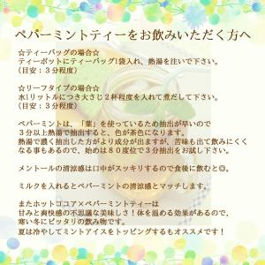 ペパーミントティー 60 ティーバッグ 送料無...の詳細画像5