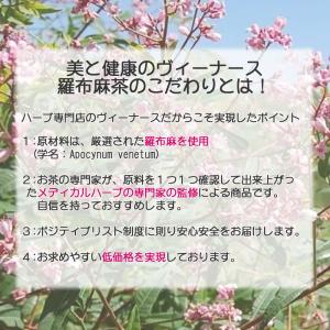 羅布麻茶 50 ティーバッグ 送料無料 農薬検...の詳細画像3