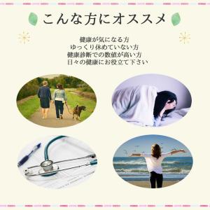 羅布麻茶 50 ティーバッグ 送料無料 農薬検...の詳細画像4