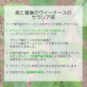 サラシア茶 3g×100p 送料無料 農薬検査...の詳細画像2