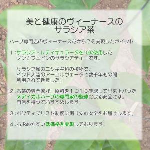 サラシア茶 1 kg (カット) 送料無料 農...の詳細画像3