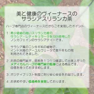 サラシアスリランカ茶 100ティーバッグ 送料...の詳細画像3
