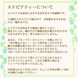 ステビア 50 g 送料無料 農薬検査済 ノン...の詳細画像1