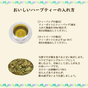 ステビア 50 g 送料無料 農薬検査済 ノン...の詳細画像2